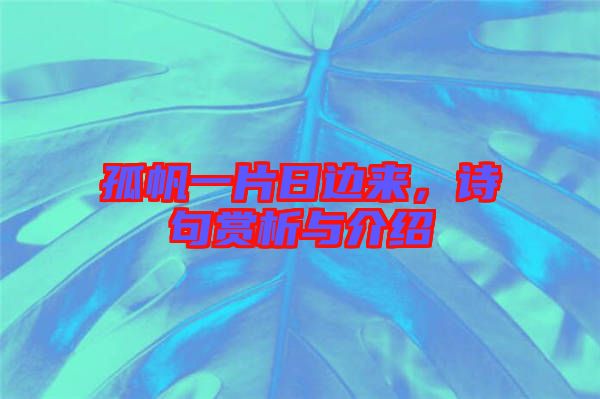 孤帆一片日邊來(lái)，詩(shī)句賞析與介紹