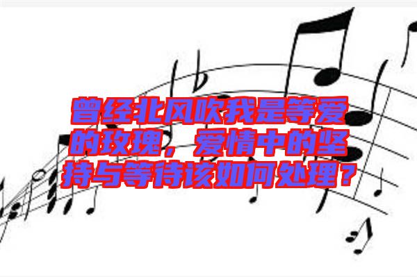 曾經(jīng)北風(fēng)吹我是等愛的玫瑰，愛情中的堅(jiān)持與等待該如何處理？