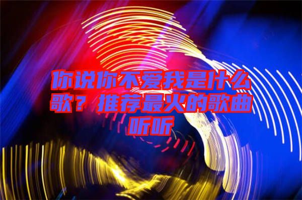 你說你不愛我是什么歌？推薦最火的歌曲聽聽