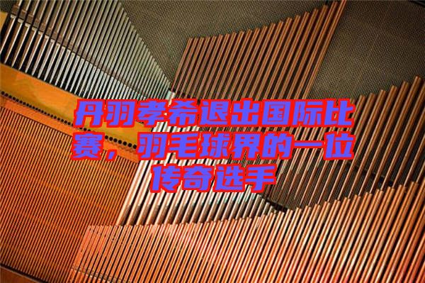 丹羽孝希退出國際比賽，羽毛球界的一位傳奇選手