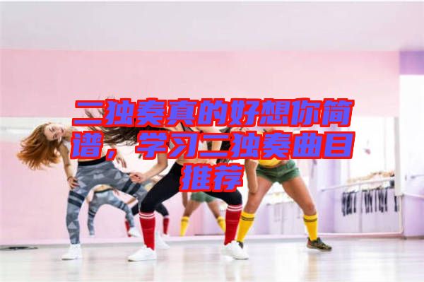 二獨奏真的好想你簡譜，學(xué)習(xí)二獨奏曲目推薦