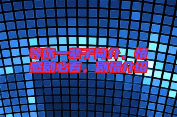 等你一輩子簡介，情感劇必看，劇情介紹