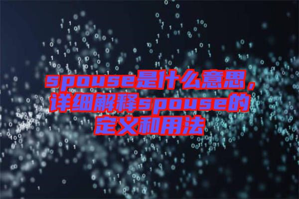 spouse是什么意思，詳細解釋spouse的定義和用法