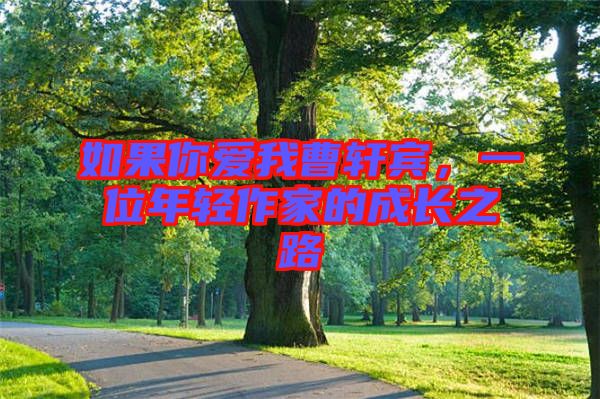 如果你愛我曹軒賓，一位年輕作家的成長(zhǎng)之路