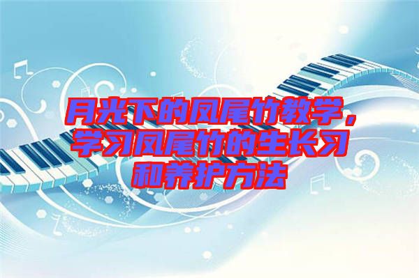 月光下的鳳尾竹教學(xué)，學(xué)習(xí)鳳尾竹的生長(zhǎng)習(xí)和養(yǎng)護(hù)方法