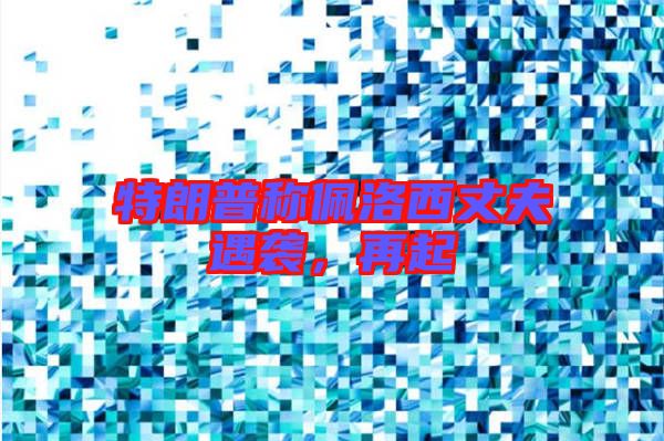 特朗普稱(chēng)佩洛西丈夫遇襲，再起