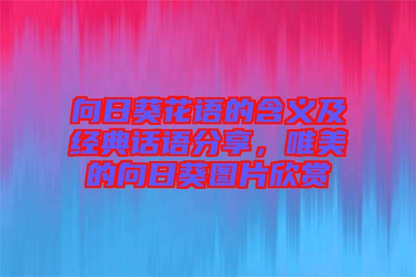 向日葵花語的含義及經典話語分享，唯美的向日葵圖片欣賞