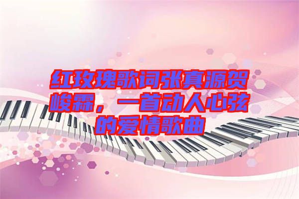 紅玫瑰歌詞張真源賀峻霖，一首動人心弦的愛情歌曲