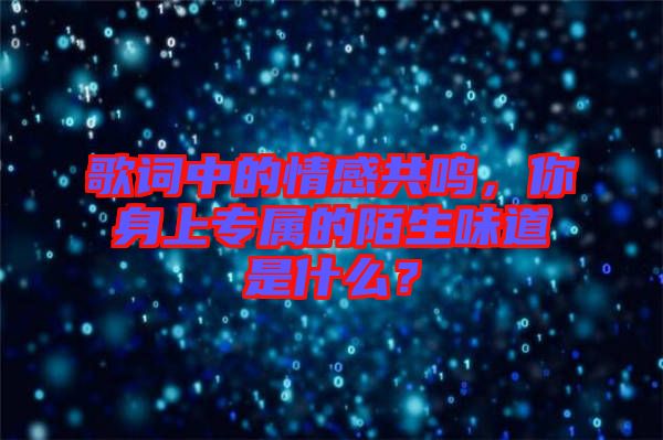 歌詞中的情感共鳴，你身上專屬的陌生味道是什么？