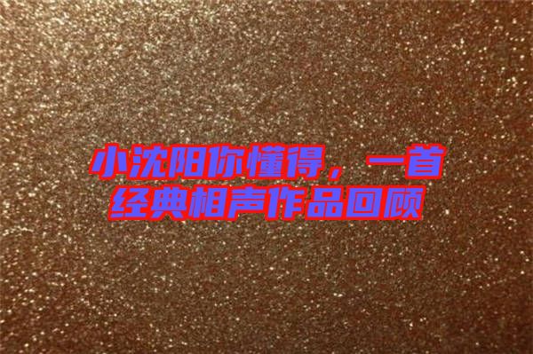 小沈陽你懂得，一首經(jīng)典相聲作品回顧