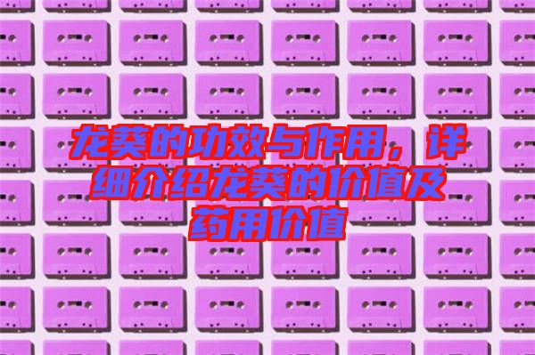 龍葵的功效與作用，詳細介紹龍葵的價值及藥用價值