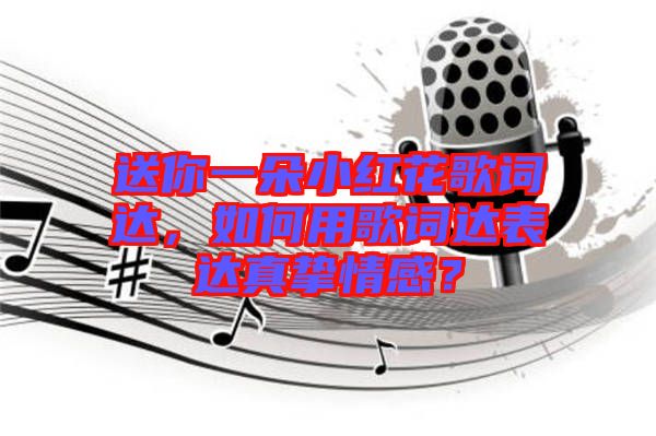 送你一朵小紅花歌詞達(dá)，如何用歌詞達(dá)表達(dá)真摯情感？