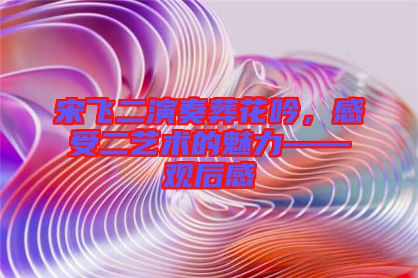 宋飛二演奏葬花吟，感受二藝術(shù)的魅力——觀后感