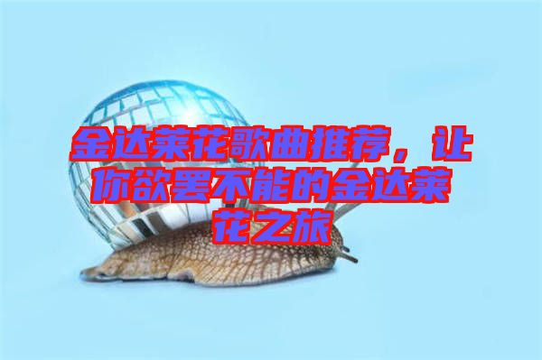 金達(dá)萊花歌曲推薦，讓你欲罷不能的金達(dá)萊花之旅