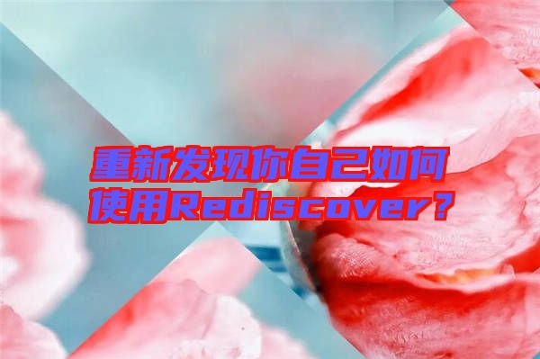 重新發(fā)現(xiàn)你自己如何使用Rediscover？