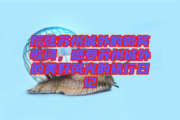 后弦蘇州城外的微笑歌詞，感受蘇州城外的美好風(fēng)光的旅行日記