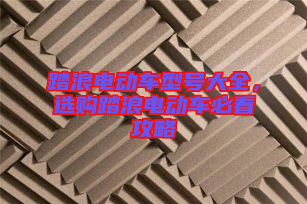 踏浪電動(dòng)車型號(hào)大全，選購踏浪電動(dòng)車必看攻略