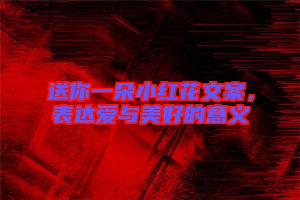 送你一朵小紅花文案，表達(dá)愛與美好的意義