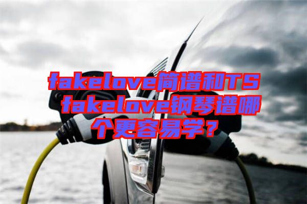 fakelove簡(jiǎn)譜和TS fakelove鋼琴譜哪個(gè)更容易學(xué)？