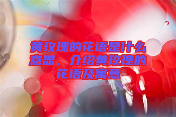 黃玫瑰的花語(yǔ)是什么意思，介紹黃玫瑰的花語(yǔ)及寓意