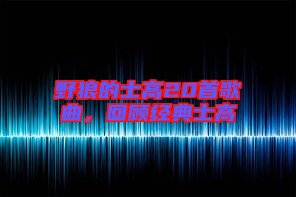 野狼的士高20首歌曲，回顧經(jīng)典士高